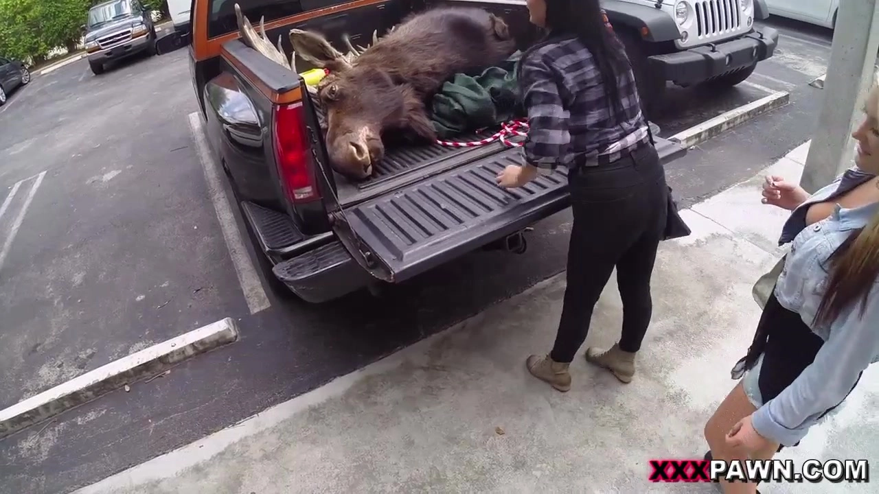 Lesbians Pawn Their Asses! - XXX Pawn